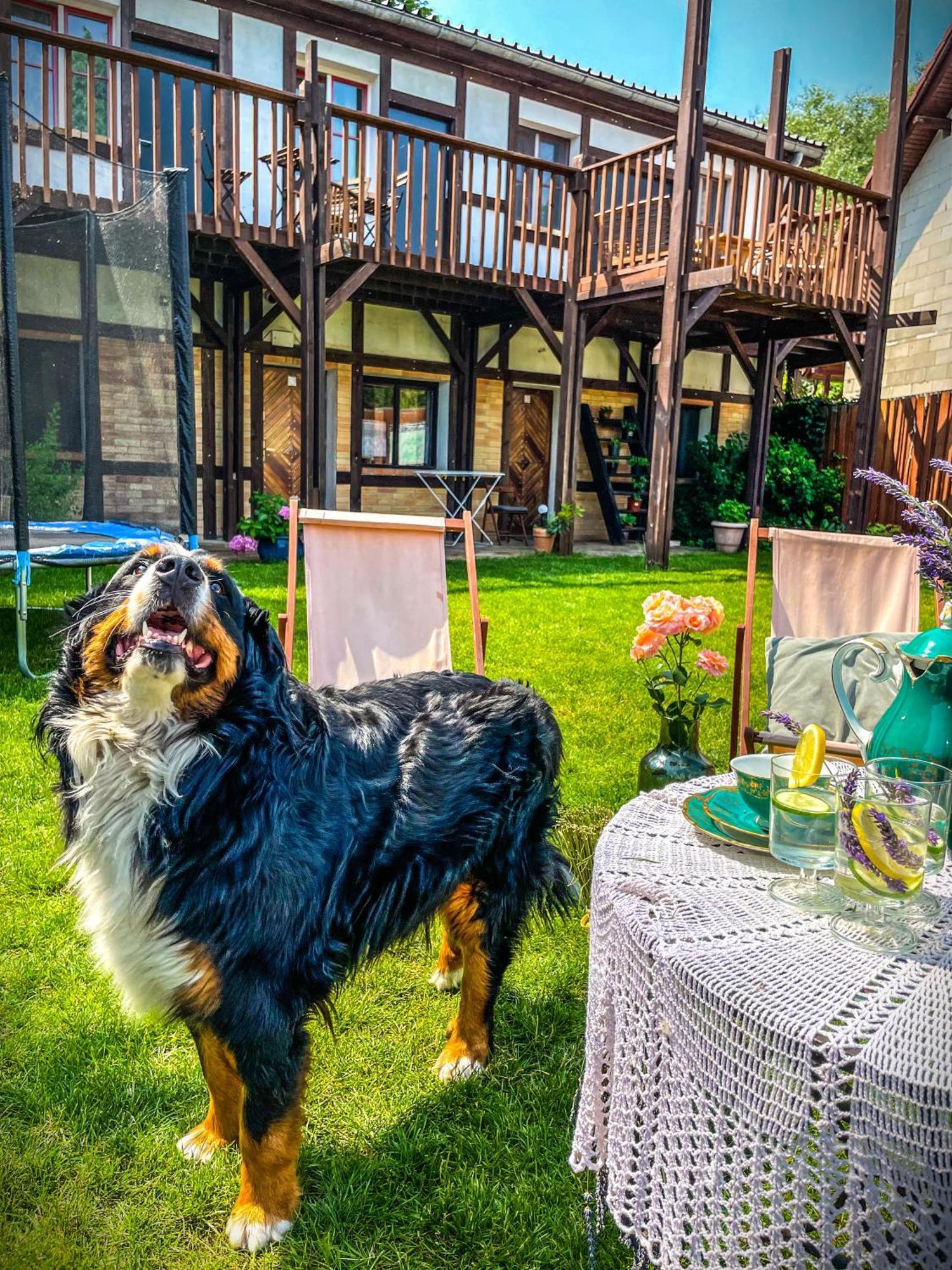 Wrzosowy Mlyn - Twoje Miejsce Nad Jeziorem Międzyrzecz Extérieur photo