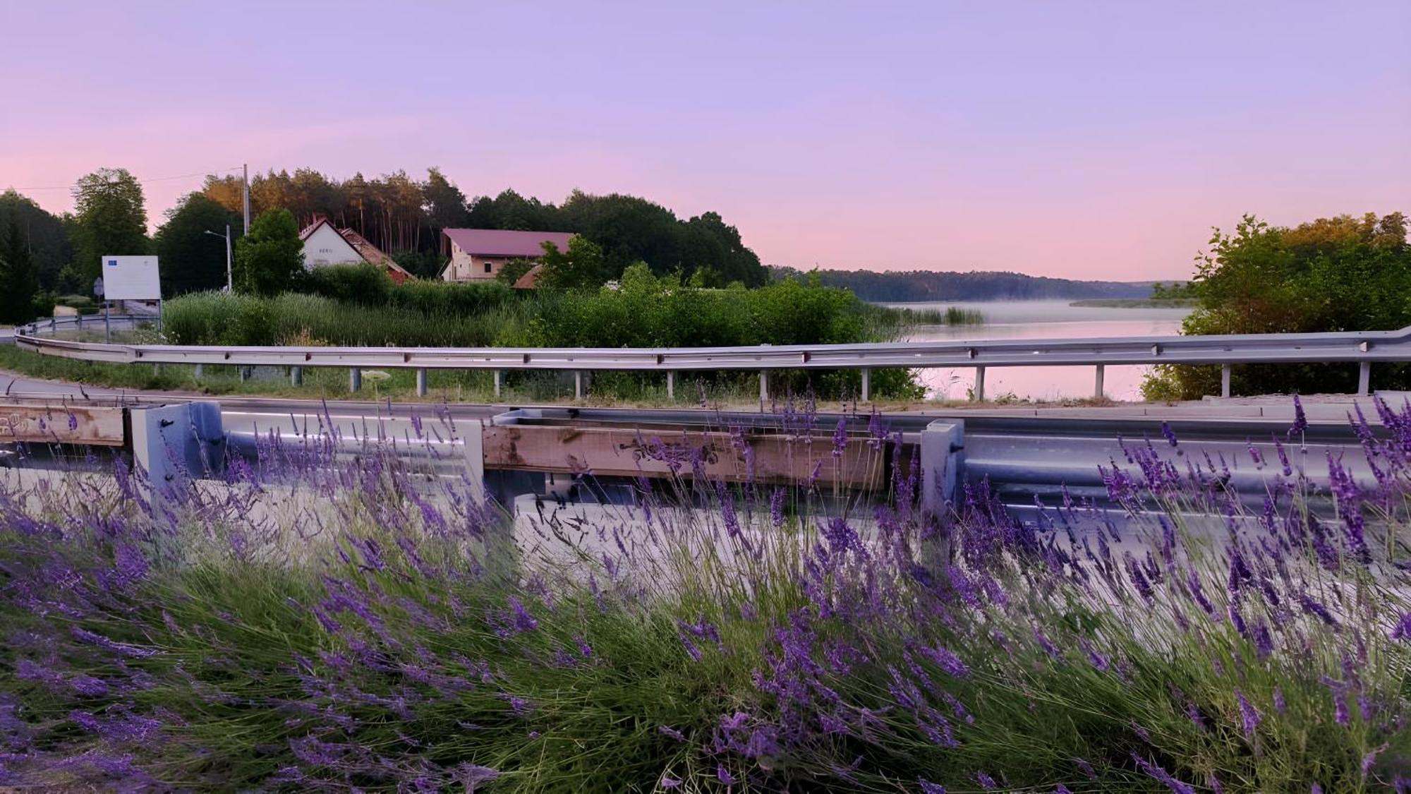 Wrzosowy Mlyn - Twoje Miejsce Nad Jeziorem Międzyrzecz Extérieur photo