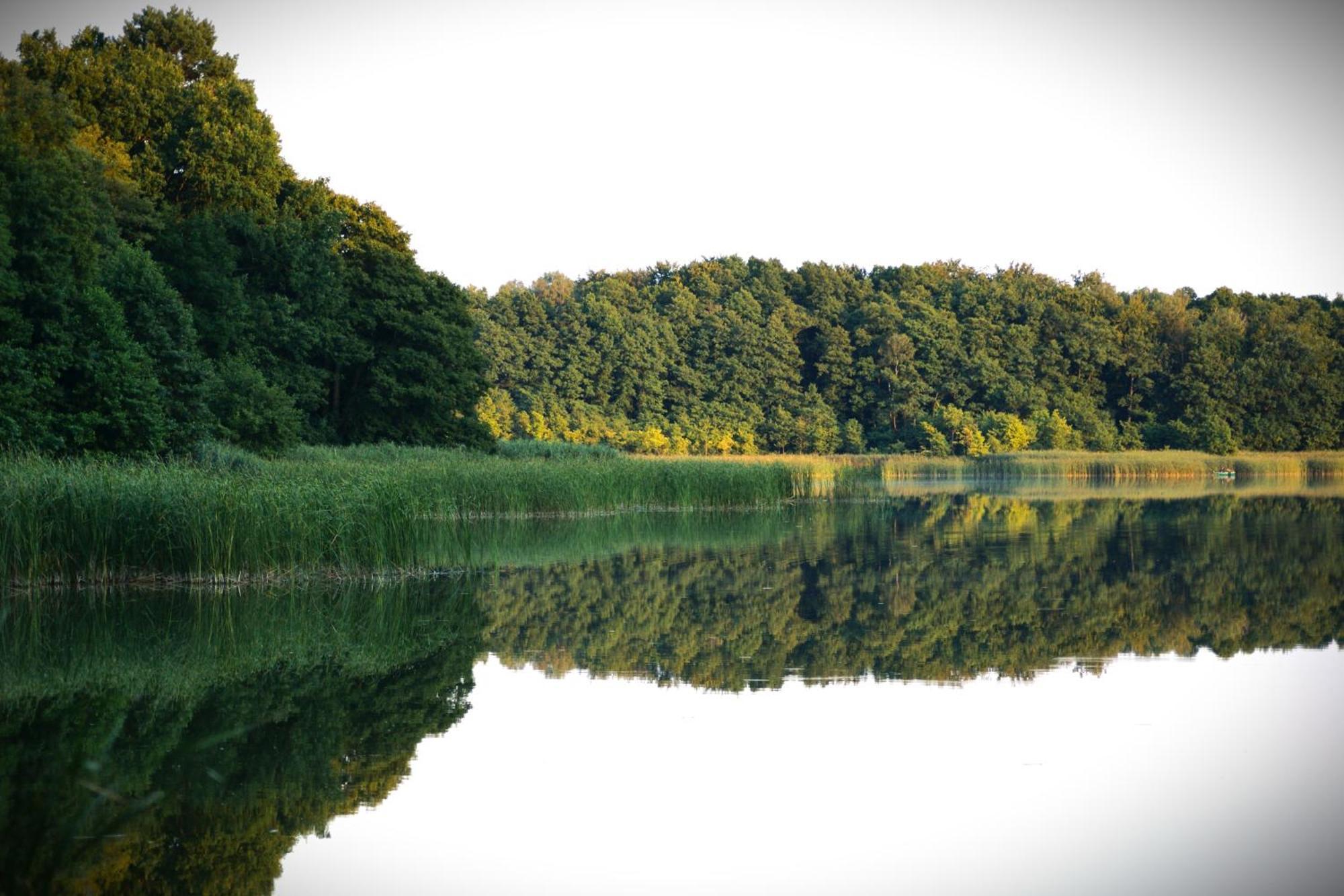 Wrzosowy Mlyn - Twoje Miejsce Nad Jeziorem Międzyrzecz Extérieur photo