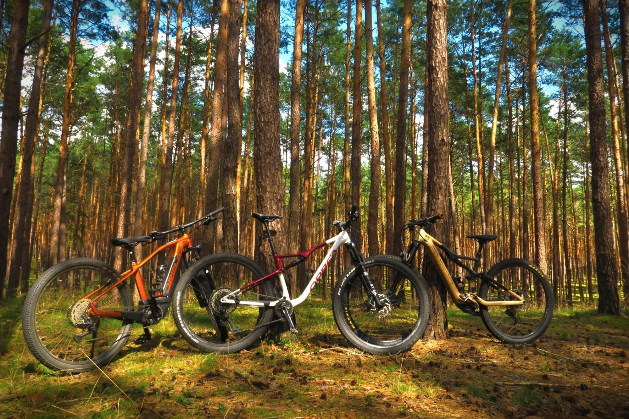 Wrzosowy Mlyn - Twoje Miejsce Nad Jeziorem Międzyrzecz Extérieur photo