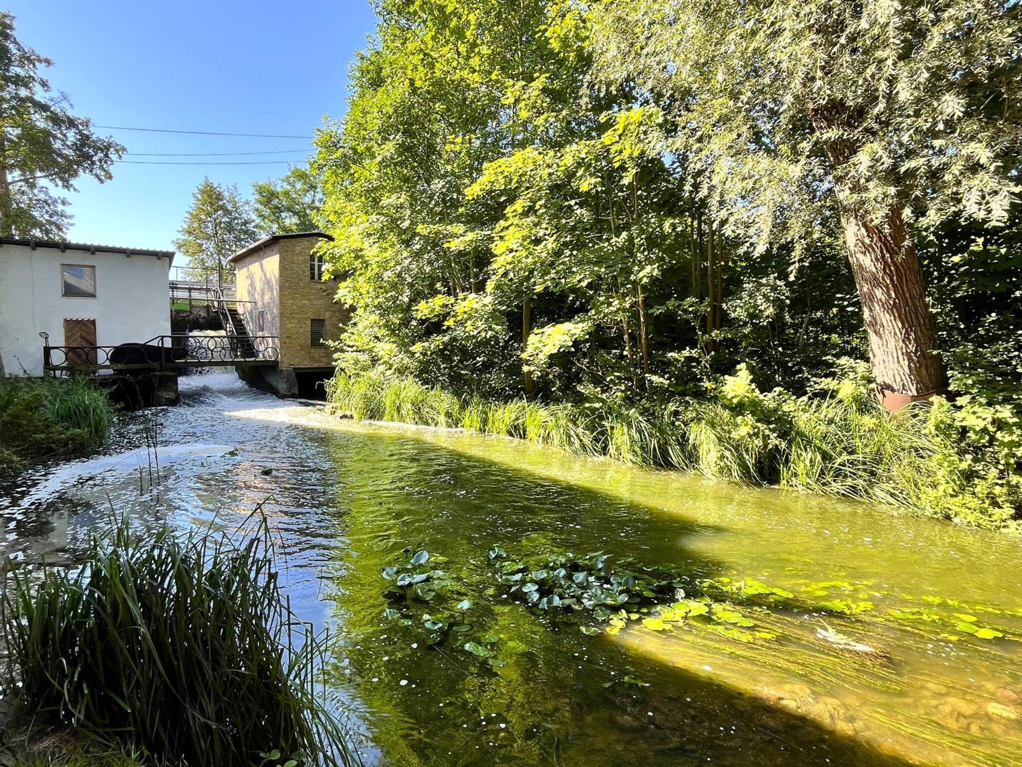 Wrzosowy Mlyn - Twoje Miejsce Nad Jeziorem Międzyrzecz Extérieur photo